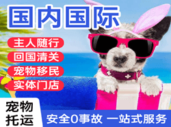 呼伦贝尔海拉尔航空快运国际宠物托运 【国